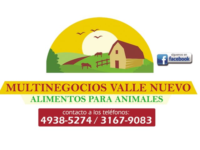 MULTINEGOCIOS VALLE NUEVO