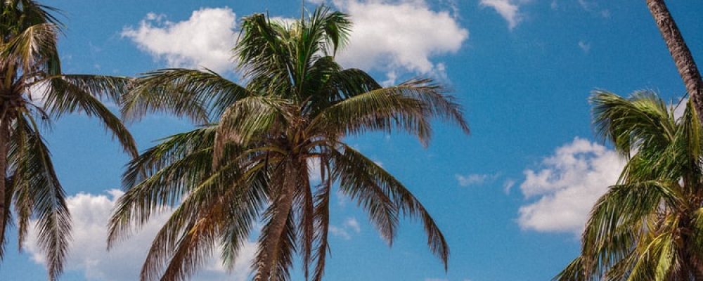 Hoteles en Puerto Barrios