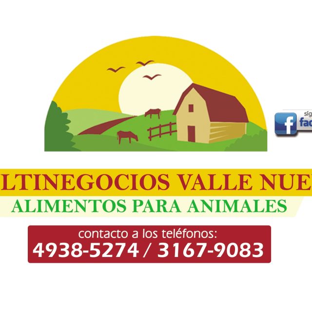 MULTINEGOCIOS VALLE NUEVO